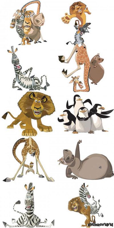 Madagascar Cartoon