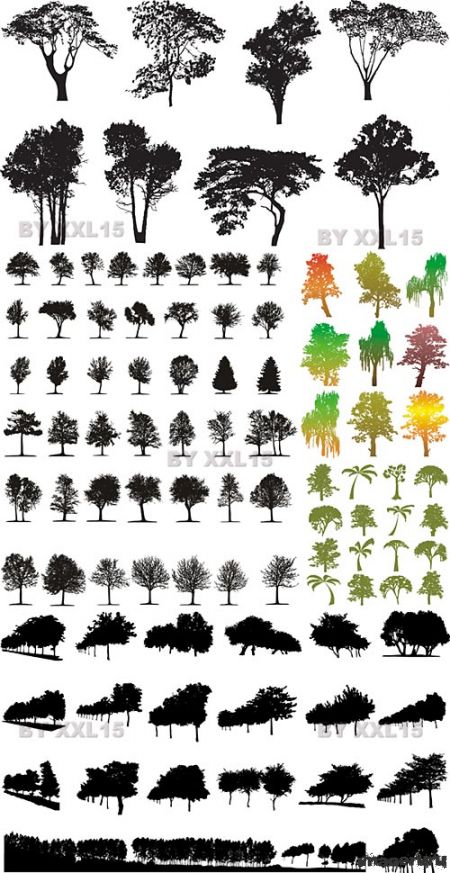 Силуэты деревьев