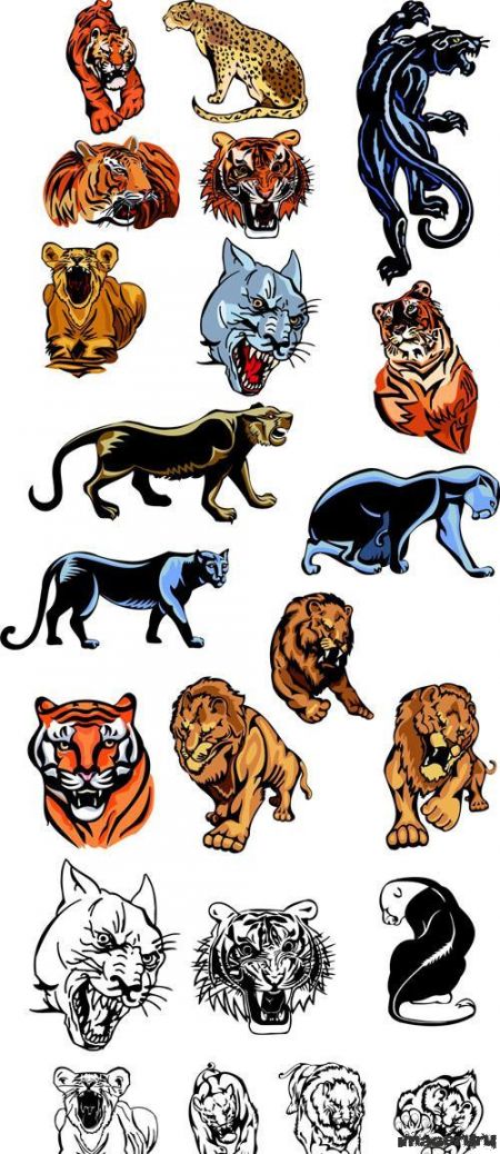 Векторные татуировки - пантеры, тигры, львы