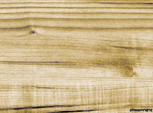 16 текстур древесины