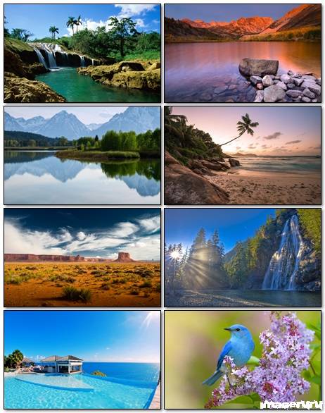 Nature Wallpapers Mix 12
