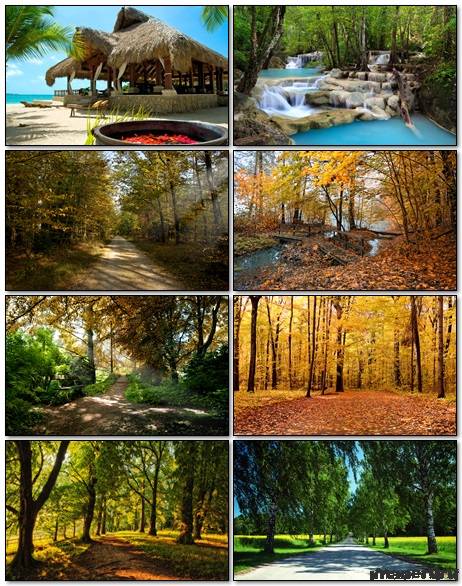 Nature Wallpapers Mix 32